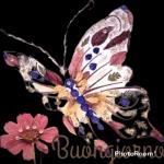 BUONA Notte Augurando.it Un universo di sogni ci aspetta...