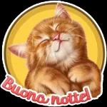 Domani sarà  migliore