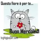 Buon Giorno Frasilandia.com