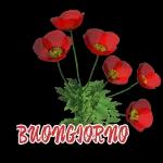 fiori stickers🌸🌸