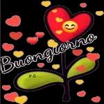 Download gratuito, aggiornamenti quotidiani