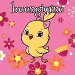 buongiorno