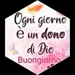 Buonasera,un abbraccio 