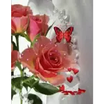 🌹🌹🌹