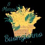 Auguri  Buona Festa della Donna