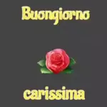 buona notte