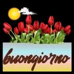 Buongiorno