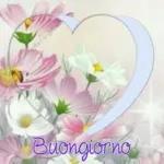  ANG
Buongiorno