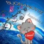 buonanotte 💗