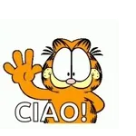 I'm the leader of the pack, I'm the one that you want, I'm the one that you need