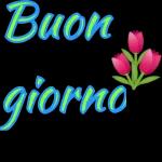 BUONGIORNO