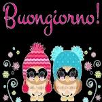 buona giornata