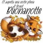 Buon mercoledi