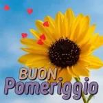 buon pomeriggio