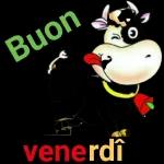 BUON
VENERDI