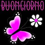  ANG
Buongiorno