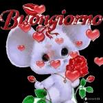Buon notte