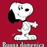 BUONA DOMENICA
