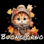buongiorno amore