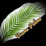 Buone Palme