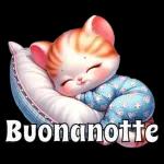 Buonanotte