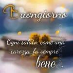 Buongiorno Ogni saluto, come una carezza, fa sempre bene.