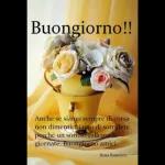 Dolci sogni..