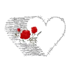 BUONANOTTE