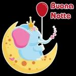 Buona Notte