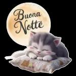 BUONA NOTTE