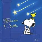 Dormire è troppo bello