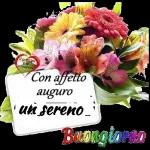 buon giorno  buona notte
