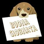 Avviso：Buon domenica!