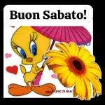 BUONGIORNO BUON SABATO