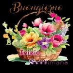 BUONA
NOTTE