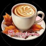 Buen Fin de Semana