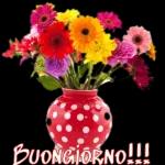 Buon giorno
