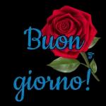 Buongiorno