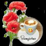 Download gratuito, aggiornamenti quotidiani