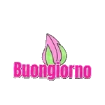 Buon venerdi