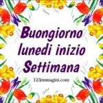 buona
notte