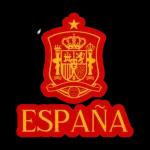 Finale degli Europei, tutto pronto!