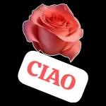 Ecco pronti per una nuova giornata. Sorridere dei guai. BUONGIORNO. Colazione e... si riparte!