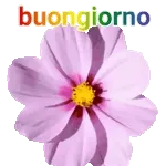 Cuori che Battono 💓💫