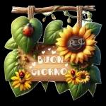 Buongiorno
