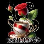 Buongiorno