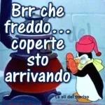 Fa così freddo❄️