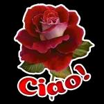 ti voglio tanto bene