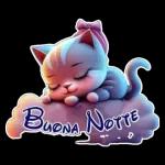 Buonanotte 50