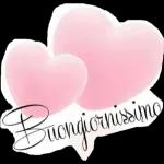 Buona
Notte